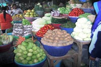 bali gruit market